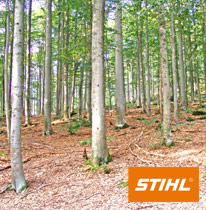 Das STIHL-Baumlexikon: f�r alle die mehr wissen m�chten, �ber die faszinierende Holzwelt!