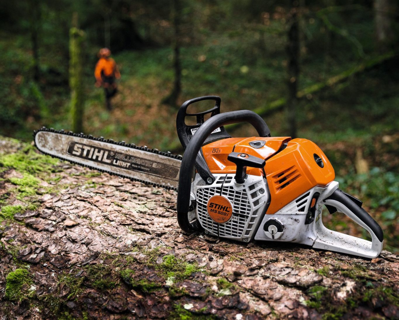 Motorsäge Stihl MS500i im Wald